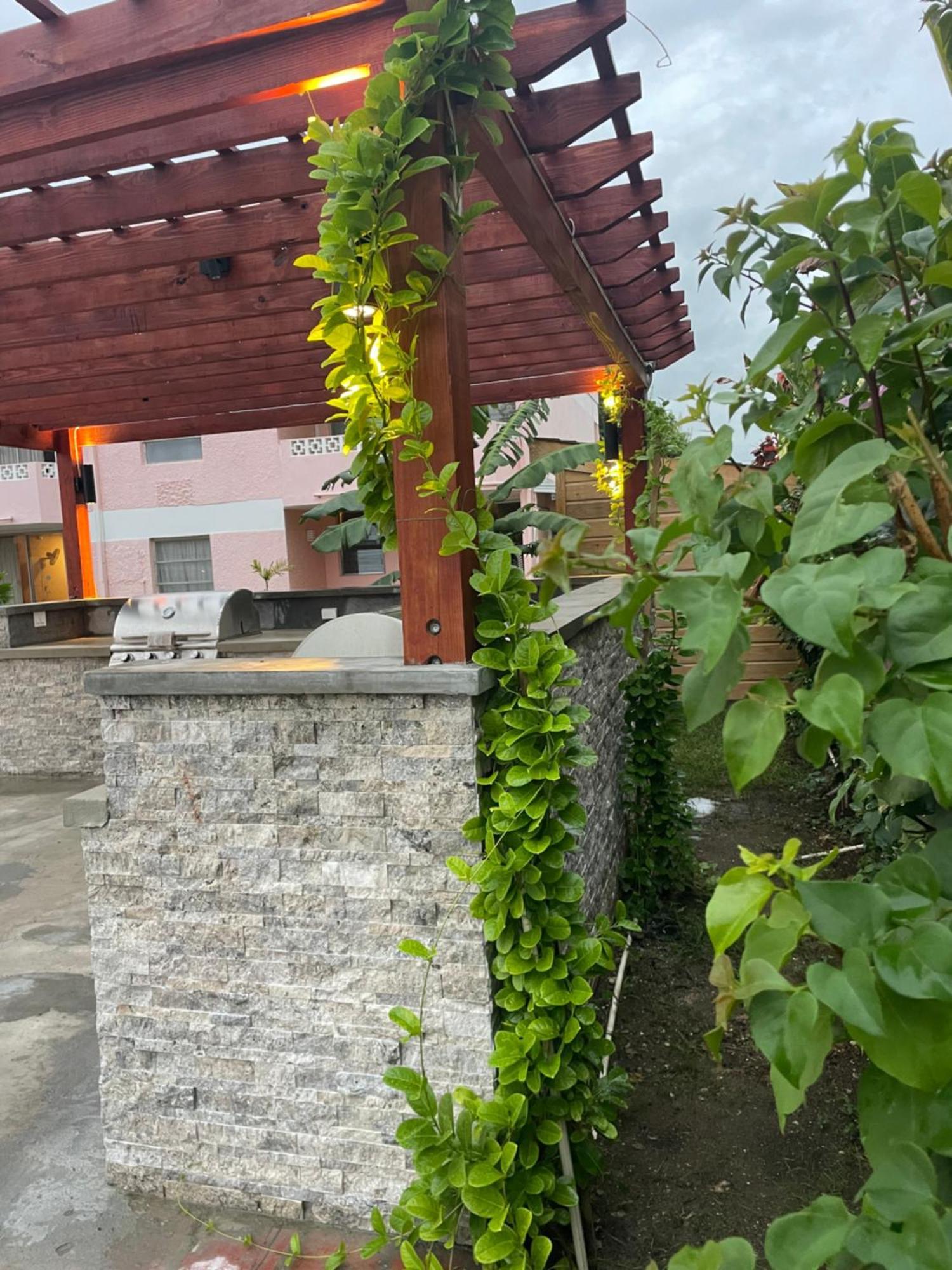 The Monteray Hotel 基督教堂市 外观 照片